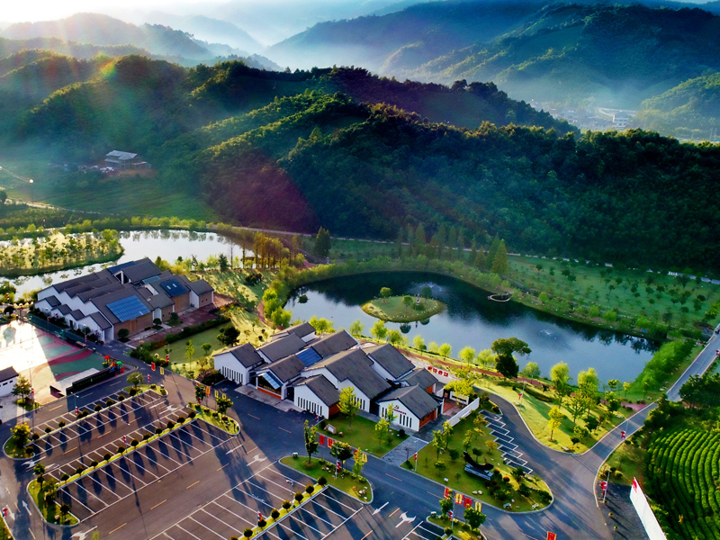 鲁家村