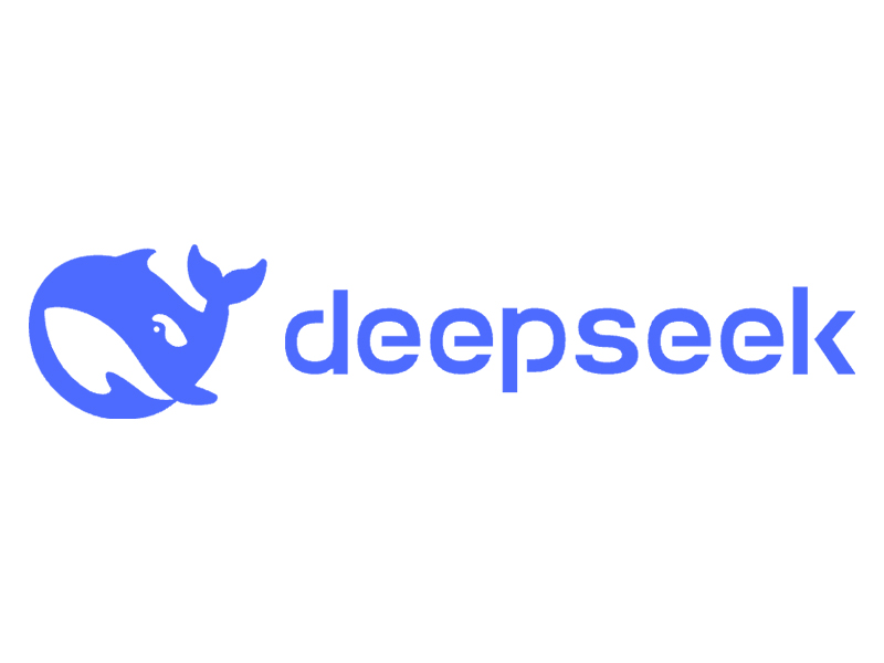 ˾ DeepSeek
